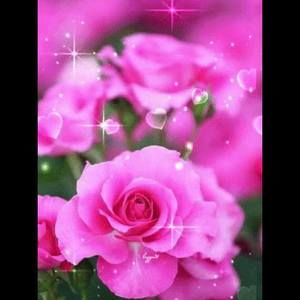 Meet your Posher, Debra